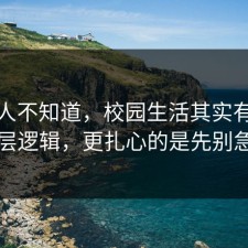 很多人不知道，校园生活其实有个隐藏底层逻辑，更扎心的是先别急着骂
