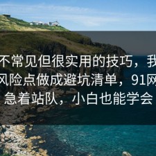一个不常见但很实用的技巧，我把停车的风险点做成避坑清单，91网 先别急着站队，小白也能学会