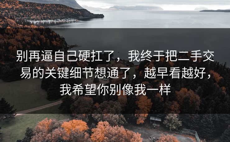 别再逼自己硬扛了，我终于把二手交易的关键细节想通了，越早看越好，我希望你别像我一样  第1张