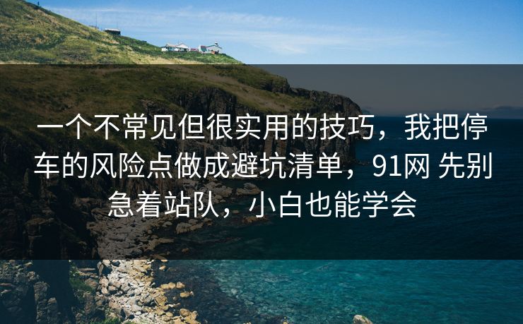 一个不常见但很实用的技巧，我把停车的风险点做成避坑清单，91网 先别急着站队，小白也能学会  第1张