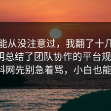 你可能从没注意过，我翻了十几条官方说明总结了团队协作的平台规则：91爆料网先别急着骂，小白也能学会