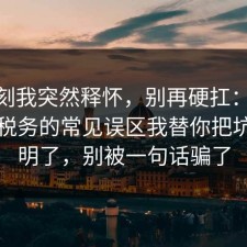 那一刻我突然释怀，别再硬扛：91爆料网税务的常见误区我替你把坑点写明了，别被一句话骗了