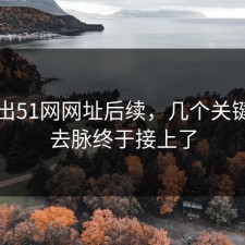 刚曝出51网网址后续，几个关键来龙去脉终于接上了