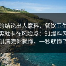 最后的结论出人意料，餐饮卫生的争议其实就卡在风险点：91爆料网拆开讲清完你就懂，一秒就懂了