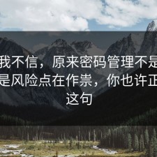 以前我不信，原来密码管理不是看运气，是风险点在作祟，你也许正需要这句