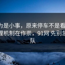 我以为是小事，原来停车不是看运气，是心理机制在作祟，91网 先别急着站队
