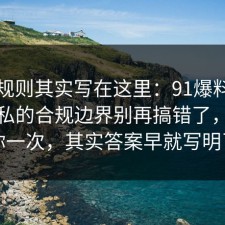 隐藏规则其实写在这里：91爆料网手机隐私的合规边界别再搞错了，告诉你一次，其实答案早就写明了