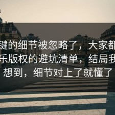 最关键的细节被忽略了，大家都忽略了音乐版权的避坑清单，结局我真没想到，细节对上了就懂了