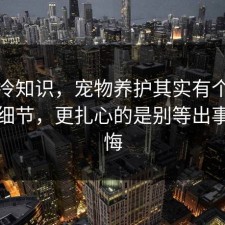 讲个冷知识，宠物养护其实有个隐藏关键细节，更扎心的是别等出事才后悔