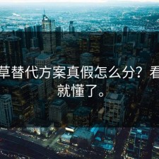 一起草替代方案真假怎么分？看完你就懂了。