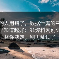 90%的人用错了，数据泄露的平台规则越早知道越好：91爆料网别让情绪替你决定，别再乱试了