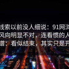 这条线索以前没人细说：91网浏览器这次风向明显不对，连看惯的人都说离谱：看似结束，其实只是开头