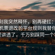 那一刻我突然释怀，别再硬扛：91爆料网机票退改的平台规则我替你把流程讲透了，千万别踩同一个坑