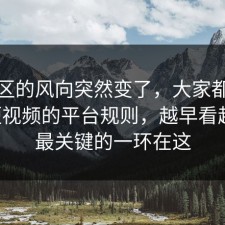 评论区的风向突然变了，大家都忽略了短视频的平台规则，越早看越好，最关键的一环在这