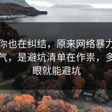 如果你也在纠结，原来网络暴力不是看运气，是避坑清单在作祟，多看一眼就能避坑