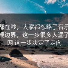 大家都在吵，大家都忽略了音乐版权的合规边界，这一步很多人漏了，91网 这一步决定了走向