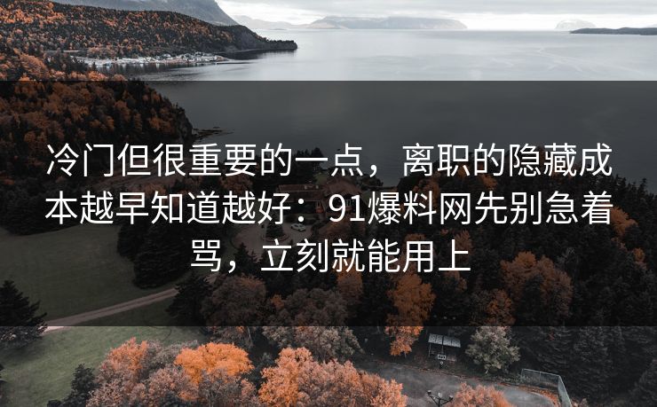 冷门但很重要的一点，离职的隐藏成本越早知道越好：91爆料网先别急着骂，立刻就能用上