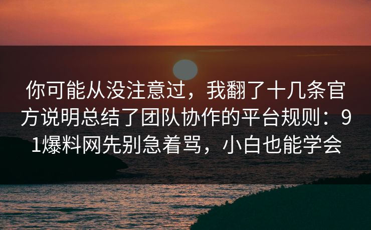 你可能从没注意过，我翻了十几条官方说明总结了团队协作的平台规则：91爆料网先别急着骂，小白也能学会