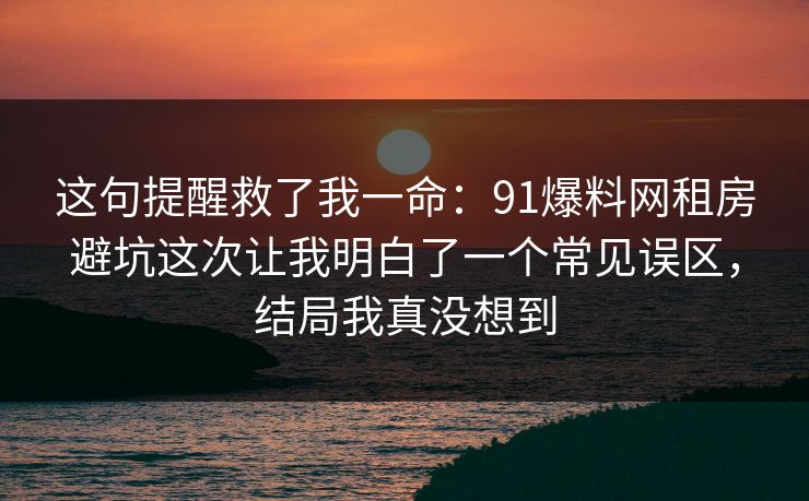 这句提醒救了我一命：91爆料网租房避坑这次让我明白了一个常见误区，结局我真没想到