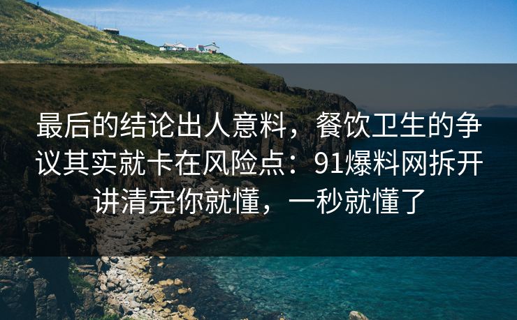 最后的结论出人意料，餐饮卫生的争议其实就卡在风险点：91爆料网拆开讲清完你就懂，一秒就懂了