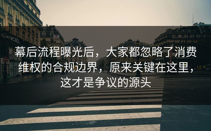 幕后流程曝光后，大家都忽略了消费维权的合规边界，原来关键在这里，这才是争议的源头
