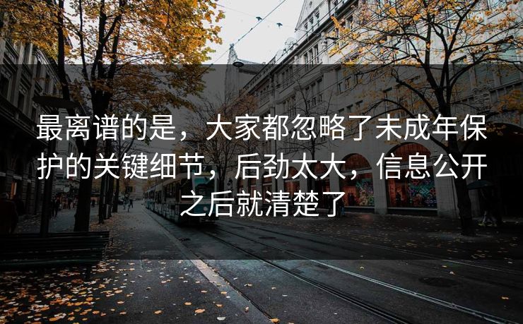 最离谱的是，大家都忽略了未成年保护的关键细节，后劲太大，信息公开之后就清楚了