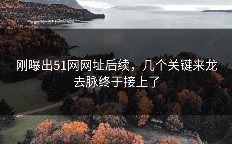刚曝出51网网址后续,几个关键来龙去脉终于接上了 第1张 刚曝出51网网址后续,几个关键来龙去脉终于接上了 第1张